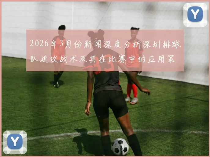 2026年3月份新闻深度分析深圳排球队进攻战术及其在比赛中的应用策略