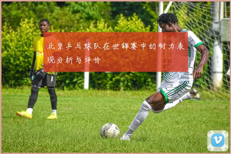 北京乒乓球队在世锦赛中的耐力表现分析与评价